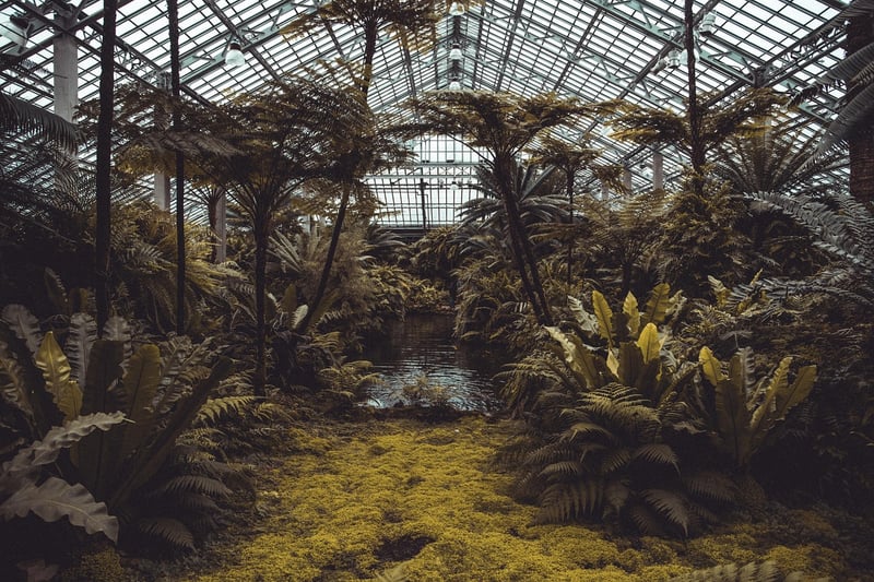 New York Botanical Garden